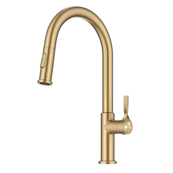 Torak 2-Function Spot Free Brushed Brass 16.75 in. H Pull Down Kitchen Faucet with 360° Spout Swivel