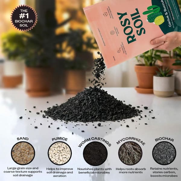 ROSY SOIL Organic 4 qt. Living Soil Succulent Potting Mix for Desert Plants  and Terrariums (1-Pack) CS4 - The Home Depot