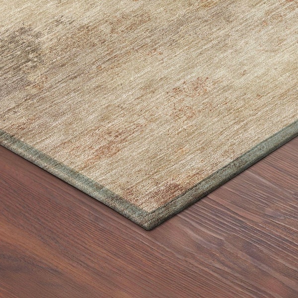 Chantille Machine Washable Indoor/Outdoor Abstract ACN2367 Salmon 10 ft. x 14 ft. Area Rug