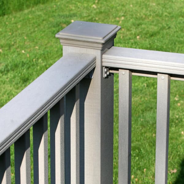 GRK Fasteners #8 x 2 in. Pheinox Stainless Steel Star Drive Trim