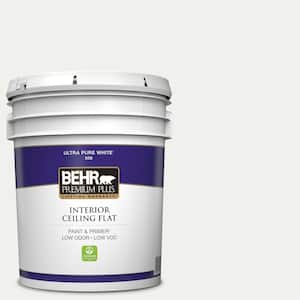 5 gal. #610E-1 Windmill Wings Ceiling Flat Interior Paint