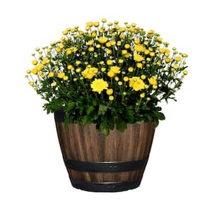 12.8 in. Reedley Medium Kentucky Walnut Brown Resin Barrel Planter (12.8 in. D x 10.5 in. H)