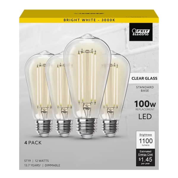 100-Watt Equivalent ST19 Dimmable Straight Filament Clear Glass E26 Vintage Edison LED Light Bulb, Bright White (4-Pack)