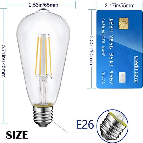 ENERGETIC LIGHTING 60-Watt Equivalent ST19 LED Vintage Edison