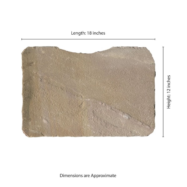 MSI Rustic Canyon 12 in. x 18 in. Natural Sandstone Step Stone