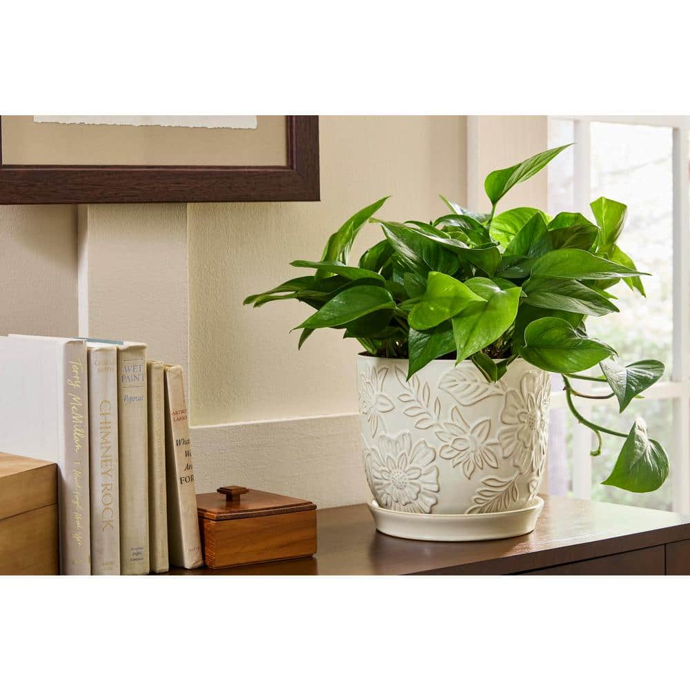 White Floral Ceramic Planter (9.3 in. L x 9.3 in. W x 8.1 in. H)