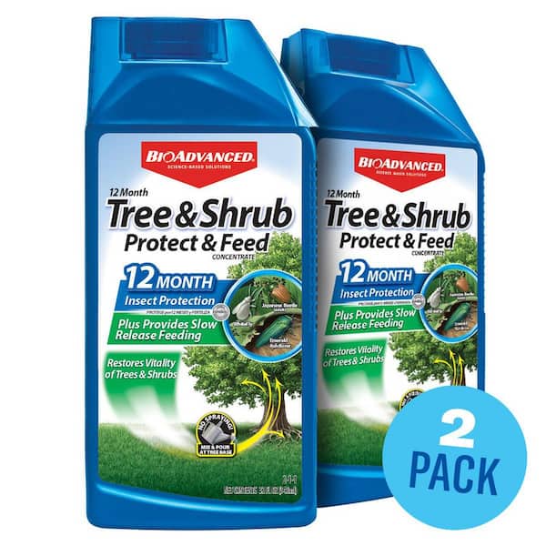 Mormon Tree Insecticide BIOADVANCED 32 oz. Concentrated Tree and Shrub Protect and Feed Insect ...