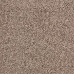 Cleoford Sweet Reflection Beige 47 oz. Triexta Texture Installed Carpet