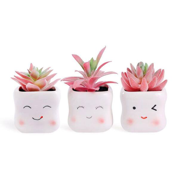 Unbranded 3-Pack 5.3 in. Cute Pink Artificial Succulents in Pots-Mini Faux  Plants for Home, Office, Desk, Bathroom & Bedroom Decor WK1086