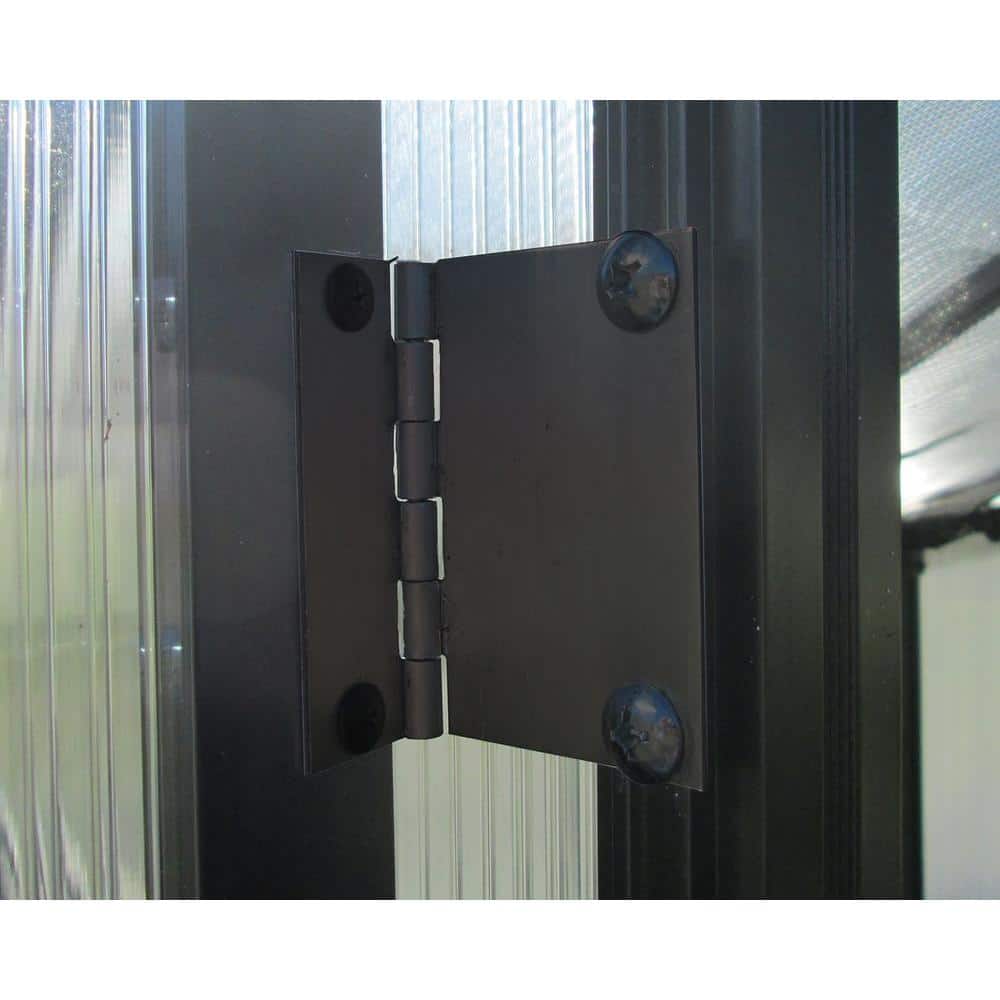 8 ft. x 16 ft. Black Aluminum and Polycarbonate Greenhouse