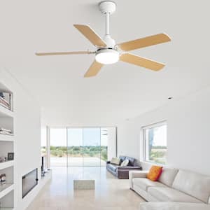 42 in. Indoor 5 Two-color Blades Modern White Downrod Ceiling Fan with Led Lights and 6 Speed DC Remote