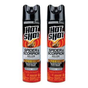 11 oz. Spider and Scorpion Insect Killer Aerosol Spray (2-Pack)