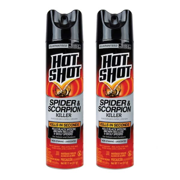 Hot Shot 11 oz. Spider and Scorpion Insect Killer Aerosol Spray (2-Pack)