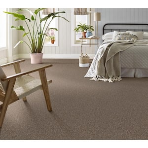 Columbus I - Rich Earth - Brown 56.2 oz. SD Polyester Texture Installed Carpet