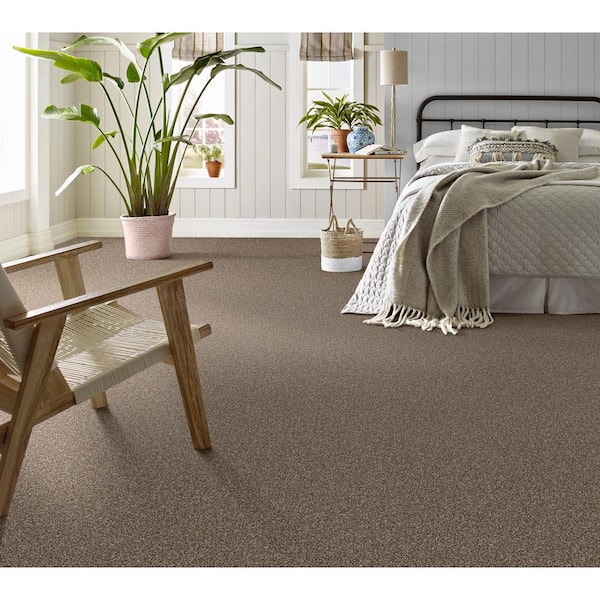 Columbus I - Rich Earth - Brown 56.2 oz. SD Polyester Texture Installed Carpet