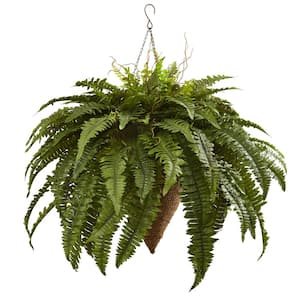 Artificial Giant Boston Fern with Cone Hanging Basket