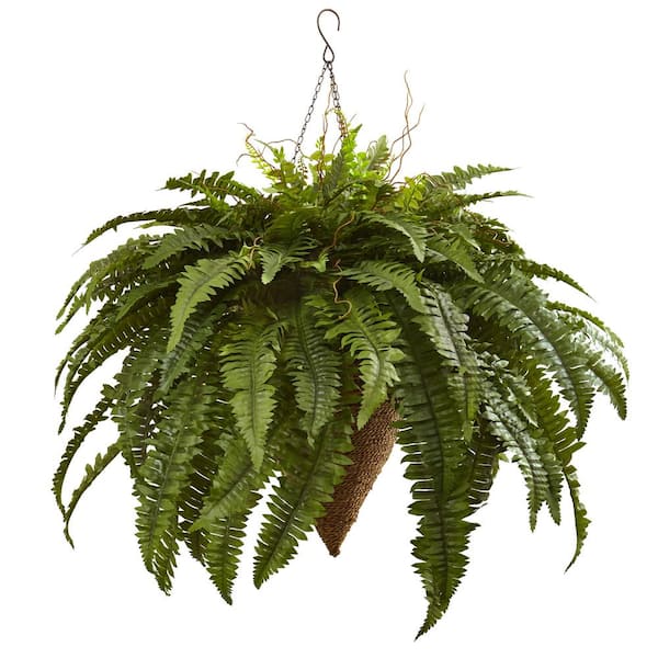 Nearly Natural Artificial Giant Boston Fern with Cone Hanging Basket