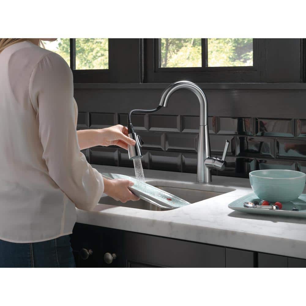 Arctic Stainless Transitional Pull-Out Spray Kitchen Faucet