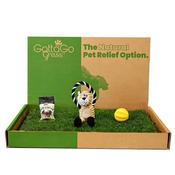 Unbranded Gotta Go Grass Bermuda Refill Plus Treat Plus Toy Ball Plus Squeaky Toy