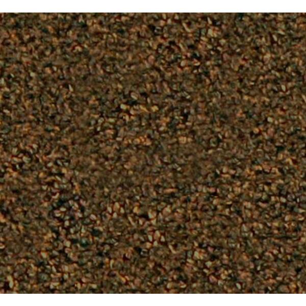 Beaulieu Carpet Sample - Benchmark 26 - In Color Canyon 8 in. x 8 in.