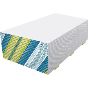 1/2 in. x 4 ft. x 10 ft. Light Gypsum Board
