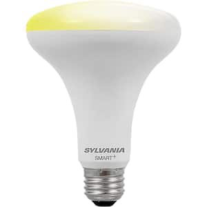 65-Watt Equivalent BR30 Dimmable SMART LED Light Bulb-On-Off Dim