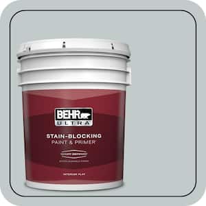 5 gal. #730E-3 River Rock Extra Durable Flat Interior Paint & Primer