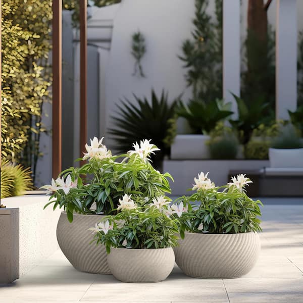 Sapcrete Textured 11.5in., 15in., 20in. Dia Large Round Light Gray Concrete Planter/Flower Pot for Indoor & Outdoor Set of 3