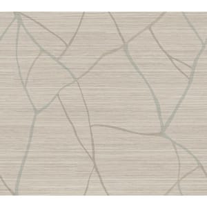 Grey Taupe Raska Metallic Non-Pasted Paper Wallpaper