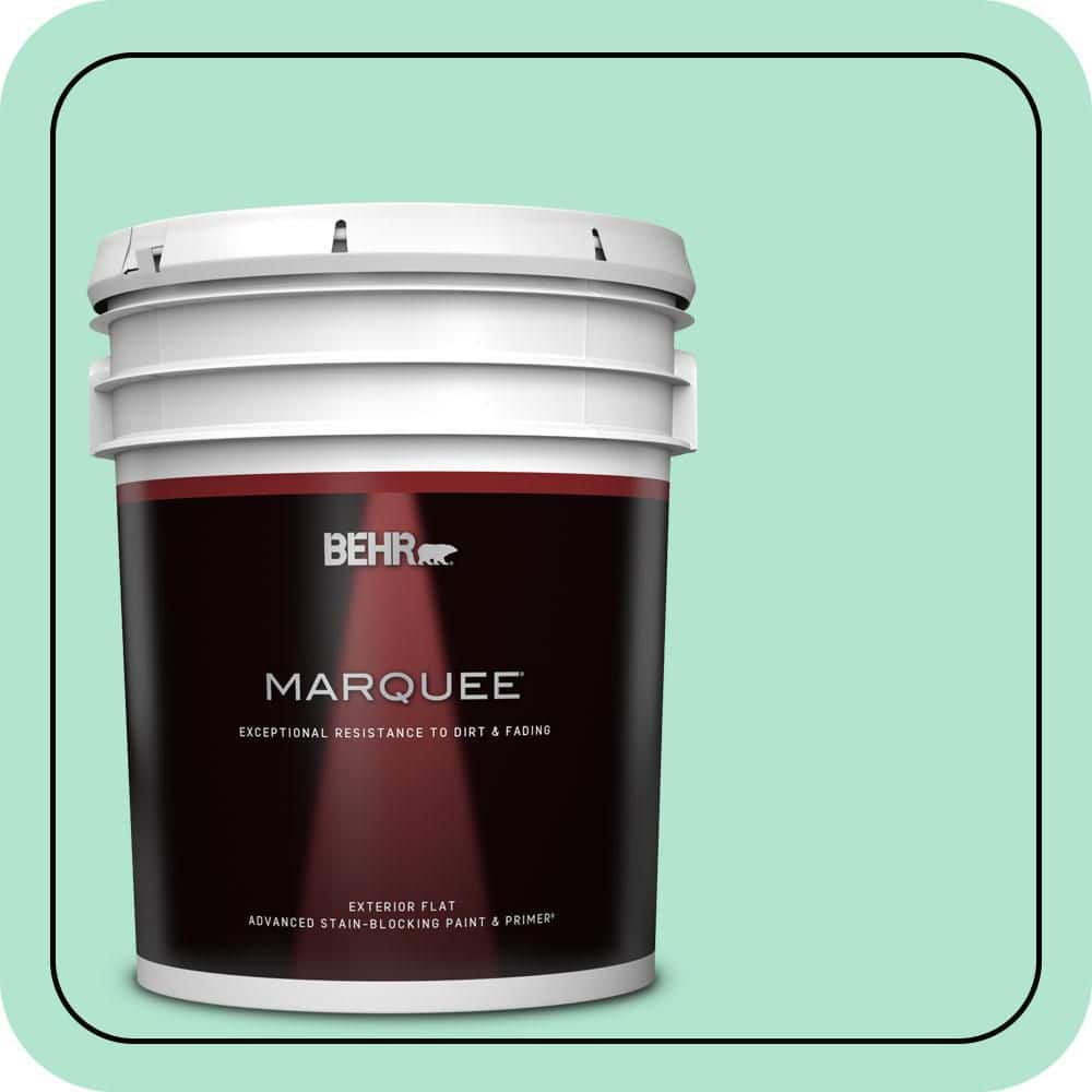 5 gal. #P420-2 Crystal Rapids Flat Exterior Paint & Primer price history on PriceWatchPro