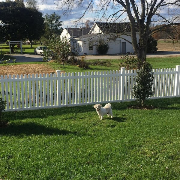 Provincetown 4 ft. H x 8 ft. W White Vinyl Picket Fence Panel Kit