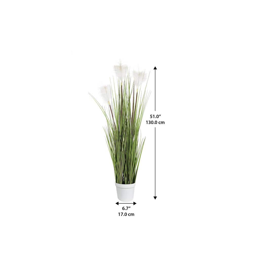 Algreen 51" Seagrass