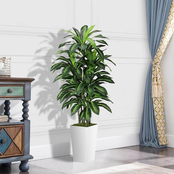 chlorophytum mandarin orange Chlorophytum Mandarin Orange 6"