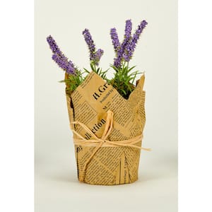 9 in. Artificial Lavender in 4 in. Plastic Pot with Newspaper (Set of 2)