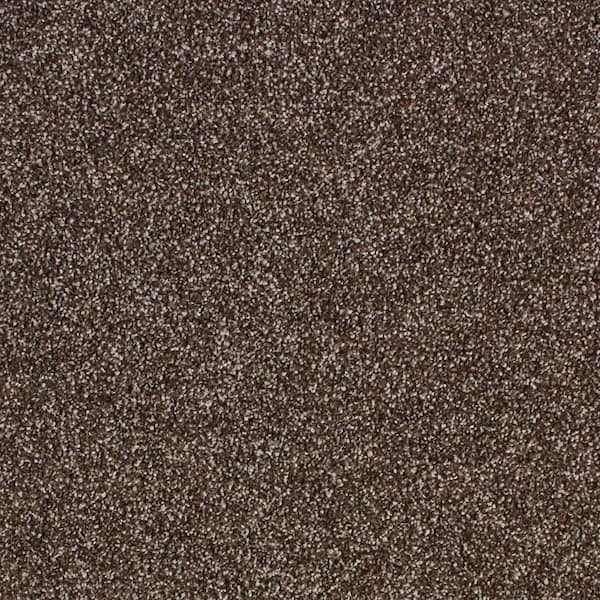 Lifeproof with Petproof Technology 8 in. x 8 in. Texture Carpet Sample - Cleoford -Color Cocoa