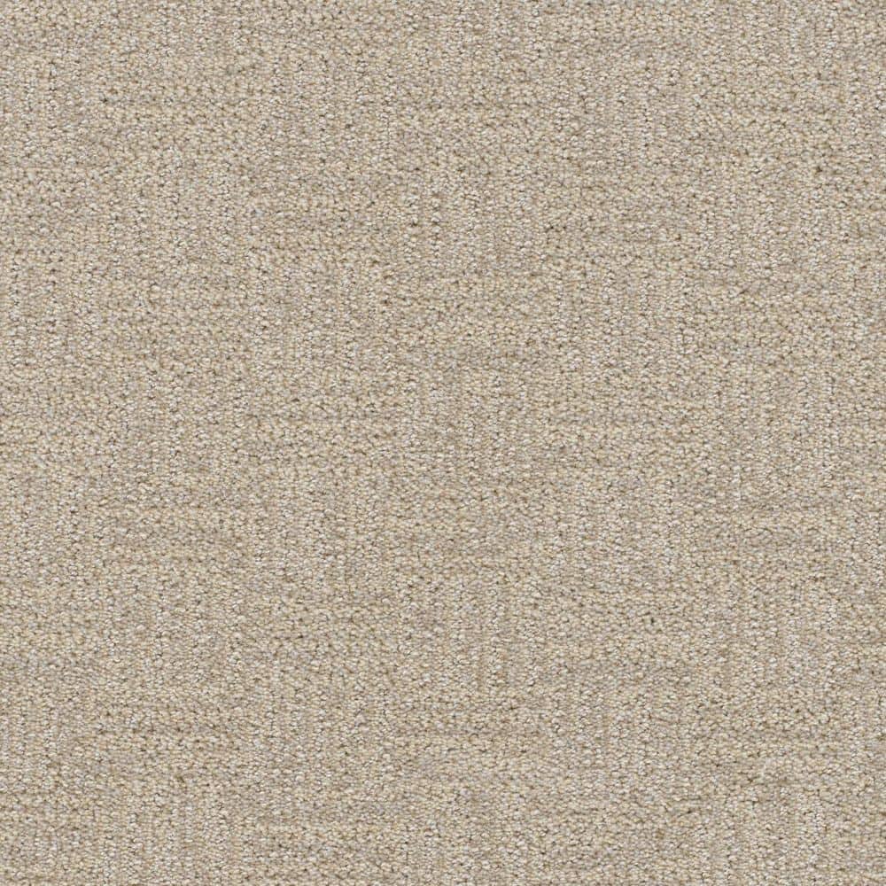 8 in. x 8 in. Pattern Carpet Sample - Nestled Nooks - Color Private price history on PriceWatchPro