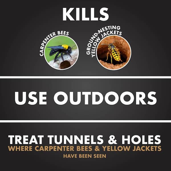 16 oz. Carpenter Bee And Ground-Nesting Yellowjacket Killer Foam Spray (2-Pack)