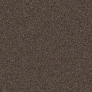 Rules Of Conduct Brown Commercial 24 in. x 24 Glue-Down Carpet Tile (24 Tiles/Case) 96 sq. ft.