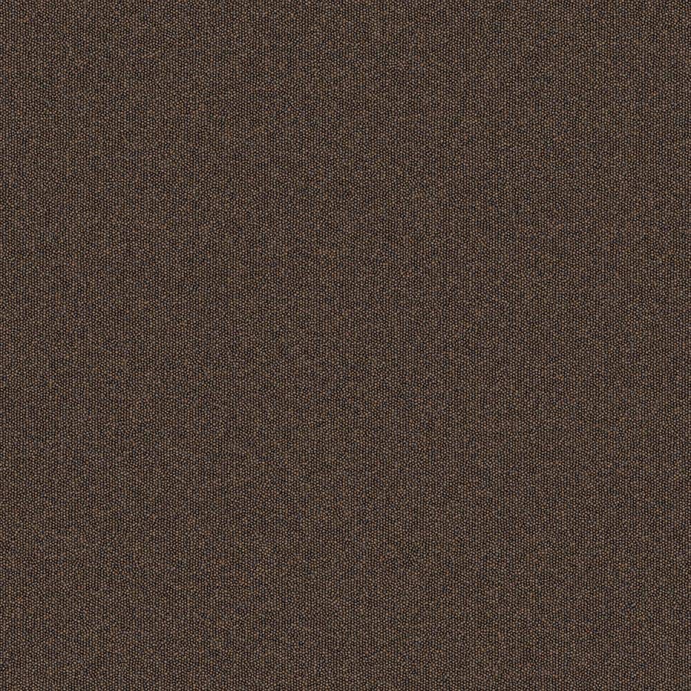 8 in. x 8 in. Looped Carpet Sample -Rules Of Conduct -Color Hickory price history on PriceWatchPro