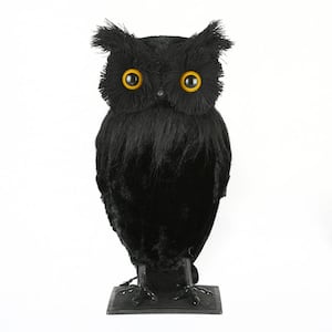 11 in. Eerie Eyes Owl