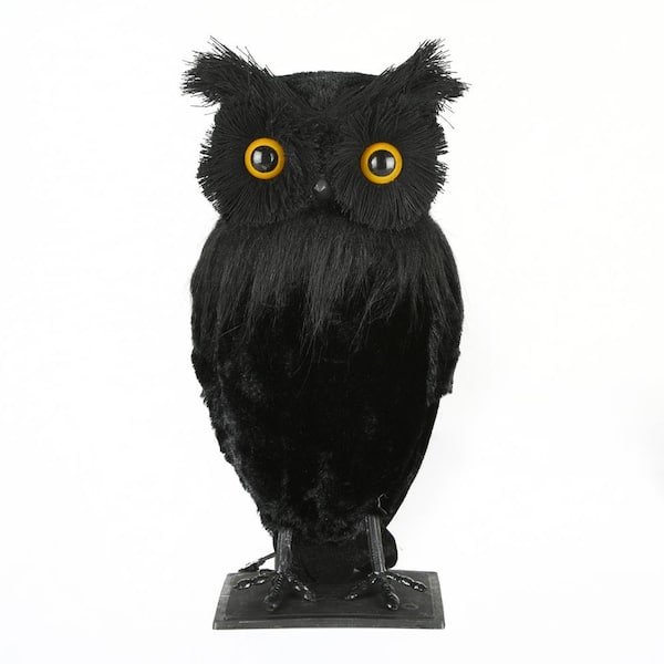 National Tree Company 11 in. Eerie Eyes Owl OP77-XY014937-1 - The ...