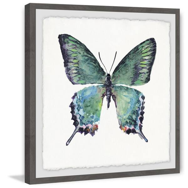 Butterfly Tropical - Digital Art - – Artsquarenft