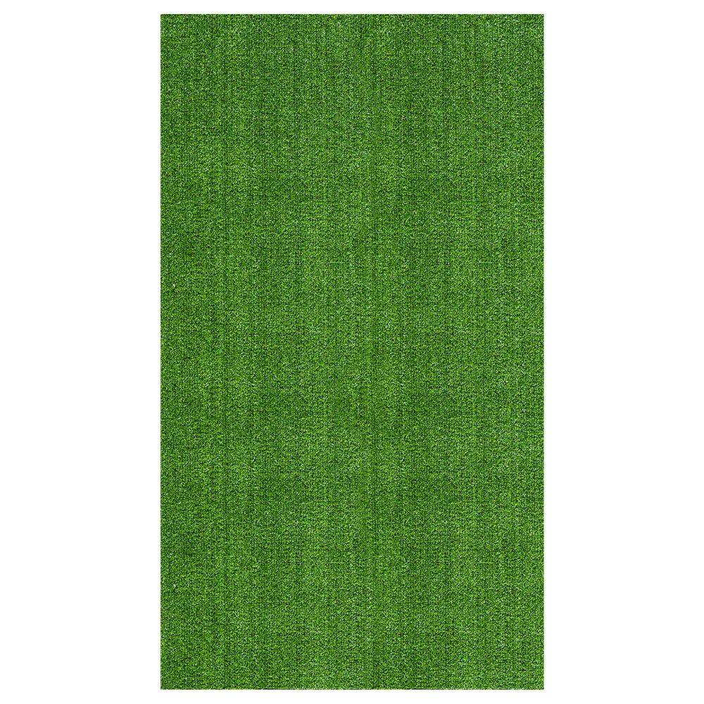 Waterproof Indoor/Outdoor 8 ft. x 53 ft. Green Low Pile Artificial Grass Turf Runner Rug, 7 ft. 10 in. x 53 ft. price history on PriceWatchPro