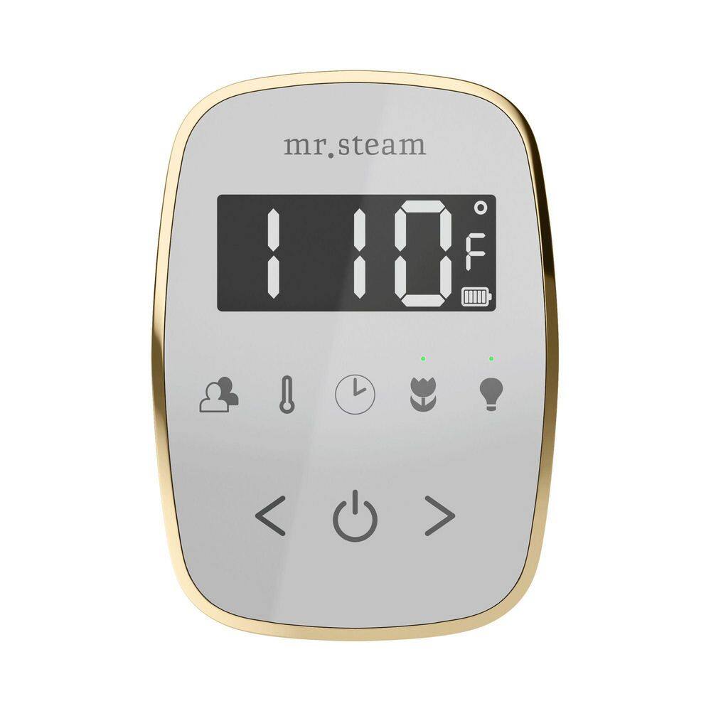 ButlerFlex Steam Shower Control Package with TempoFlex Control and Linear Steamhead in White Polished Nickel price history on PriceWatchPro