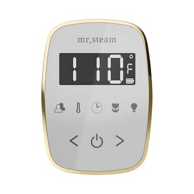 ButlerFlex Steam Shower Control Package with TempoFlex Control and Linear Steamhead in White Polished Nickel