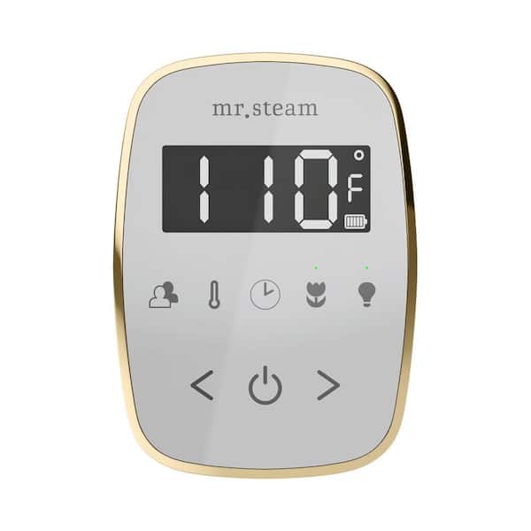 ButlerFlex Steam Shower Control Package with TempoFlex Control and Steamhead in White Polished Nickel