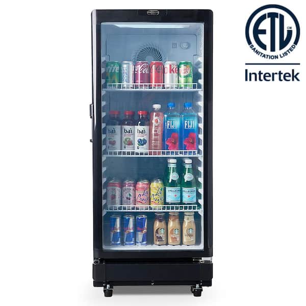 23.1 in. 6 cu. ft. PROTECH Commercial Beverage Merchandiser Refrigerator with Lock in Black