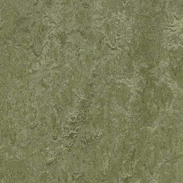 Marmoleum Cinch Loc Seal Pine Forest 9.8 mm Thick x 11.81 in. Wide X 35.43 in. Length Laminate Floor Tile (20.34 sq. ft/Case)
