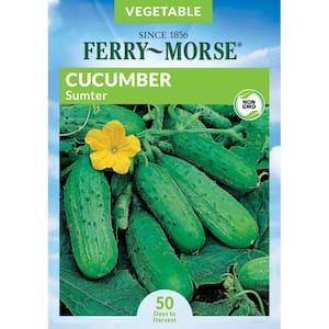 Cucumber Sumter Vegetable Seeds