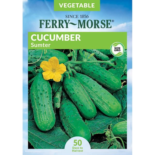 Ferry-Morse Cucumber Sumter Vegetable Seeds